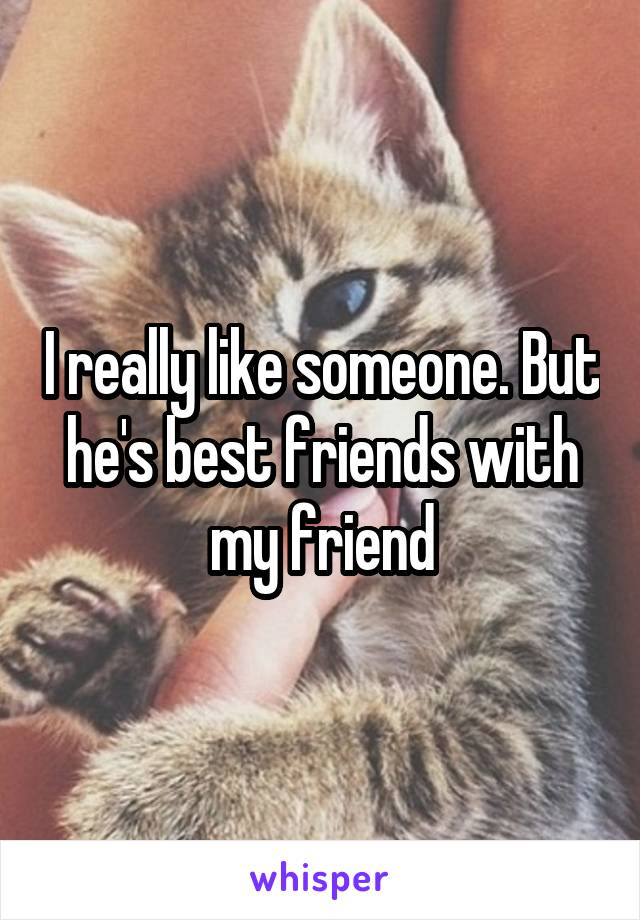 I really like someone. But he's best friends with my friend