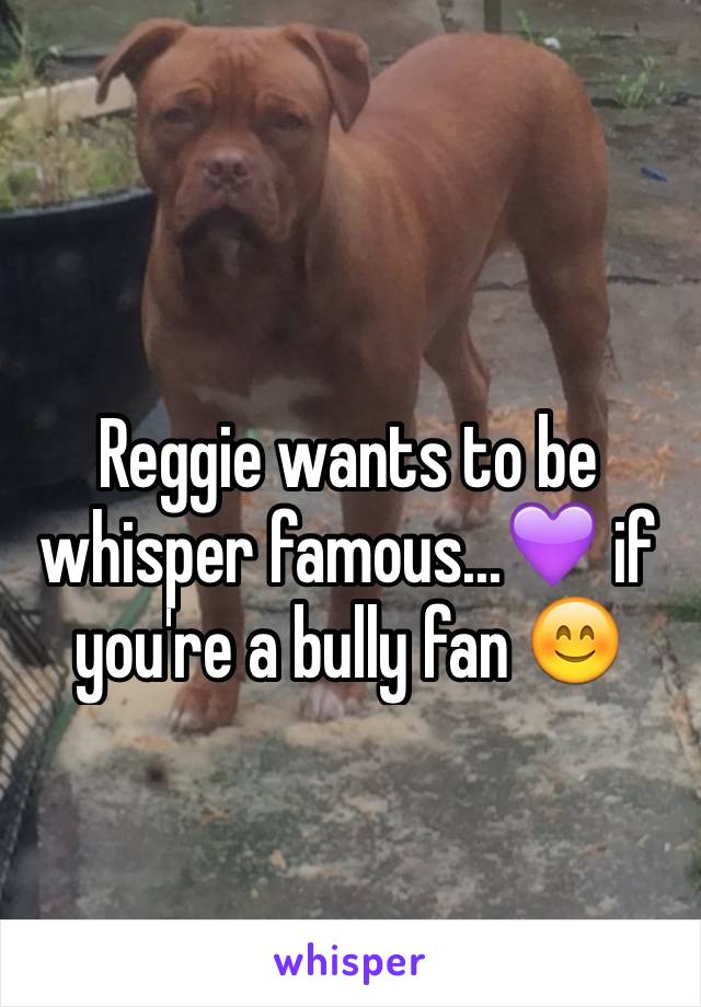 Reggie wants to be whisper famous...💜 if you're a bully fan 😊