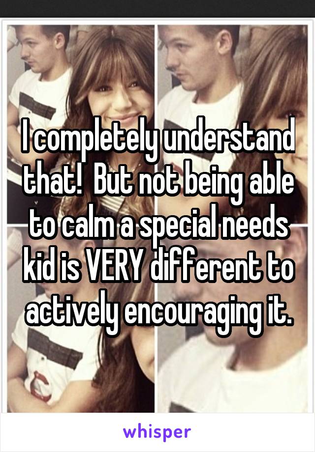 I completely understand that!  But not being able to calm a special needs kid is VERY different to actively encouraging it.