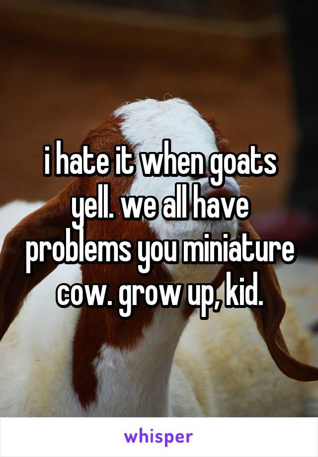 i hate it when goats yell. we all have problems you miniature cow. grow up, kid.