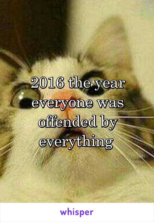 2016 the year everyone was offended by everything 