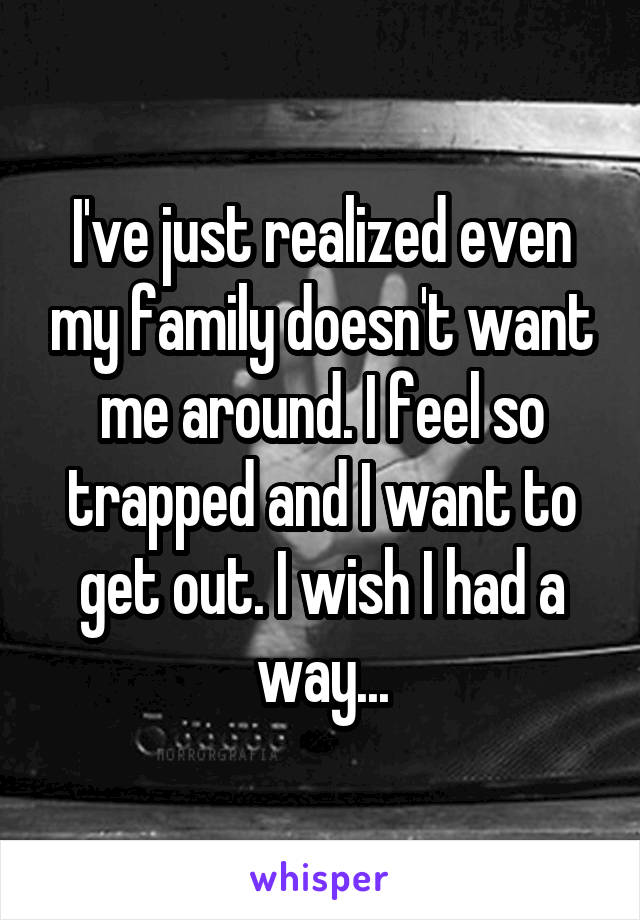 I've just realized even my family doesn't want me around. I feel so trapped and I want to get out. I wish I had a way...