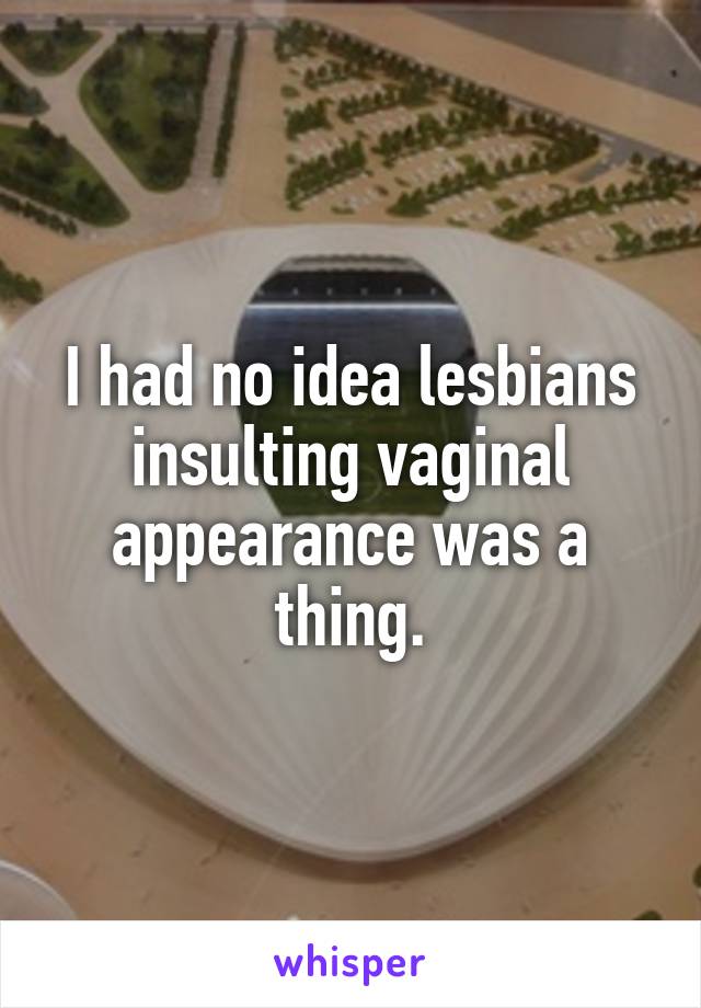 I had no idea lesbians insulting vaginal appearance was a thing.