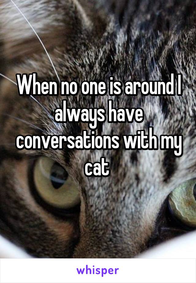 When no one is around I always have conversations with my cat 
