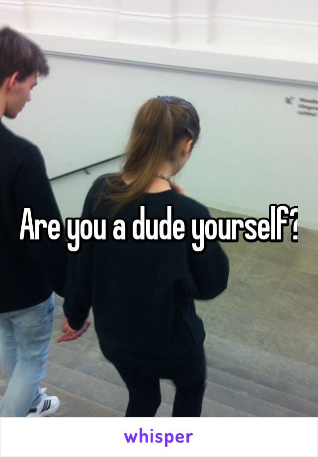 Are you a dude yourself?