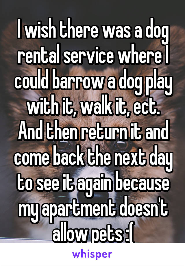 I wish there was a dog rental service where I could barrow a dog play with it, walk it, ect. And then return it and come back the next day to see it again because my apartment doesn't allow pets :(