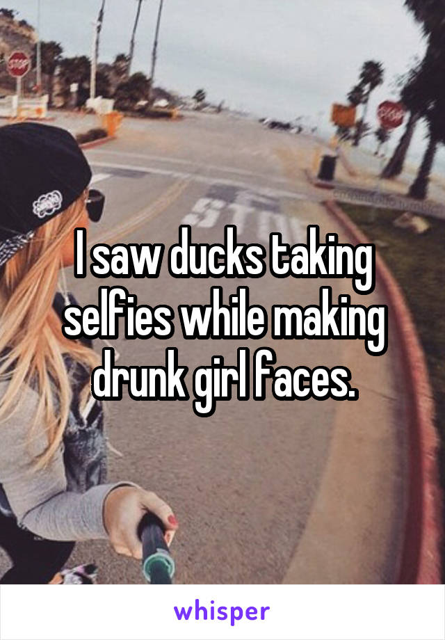 I saw ducks taking selfies while making drunk girl faces.