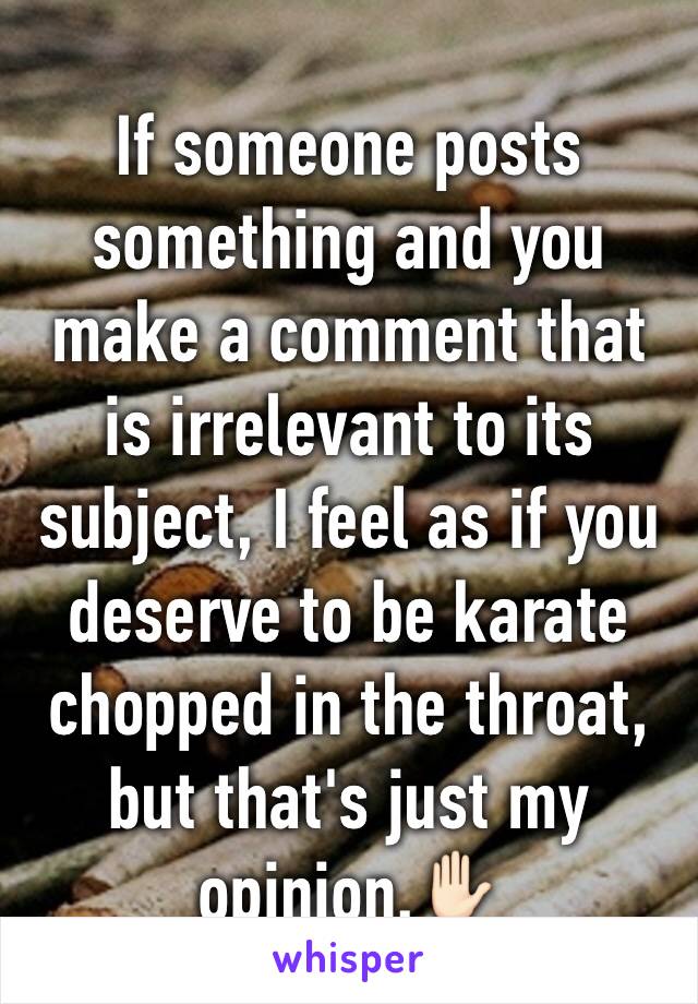 If someone posts something and you make a comment that is irrelevant to its subject, I feel as if you deserve to be karate chopped in the throat, but that's just my opinion.✋🏻