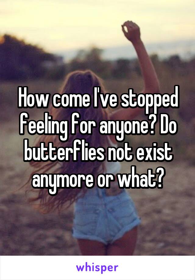 How come I've stopped feeling for anyone? Do butterflies not exist anymore or what?