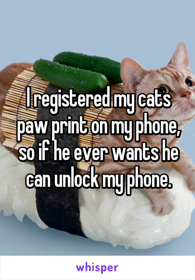 I registered my cats paw print on my phone, so if he ever wants he can unlock my phone.