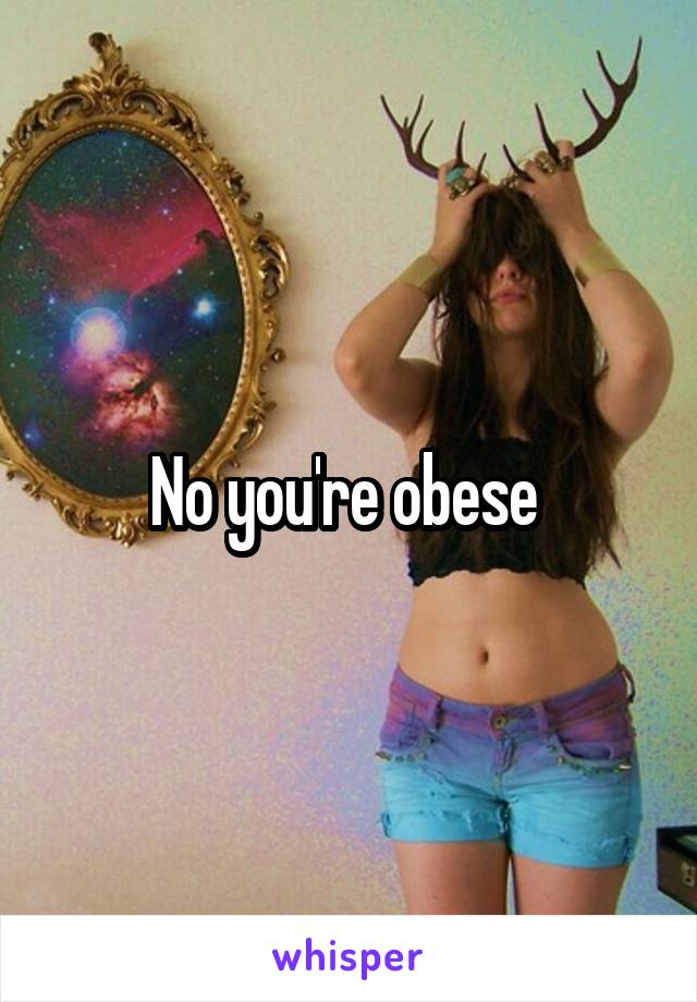 No you're obese 