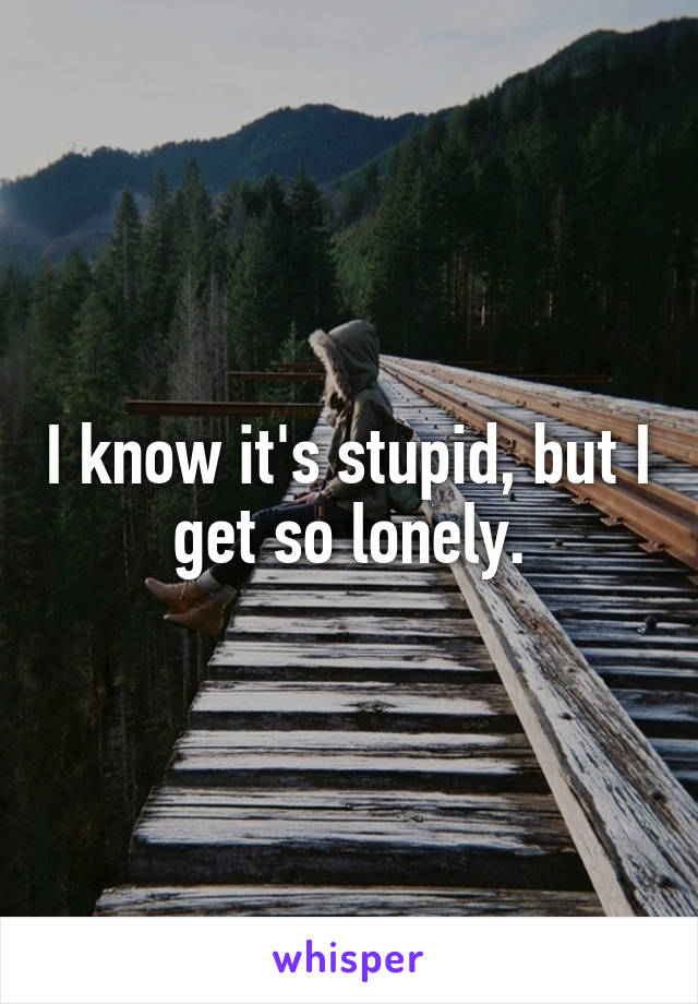 I know it's stupid, but I get so lonely.