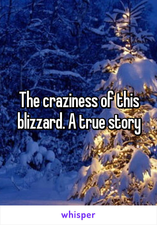 The craziness of this blizzard. A true story