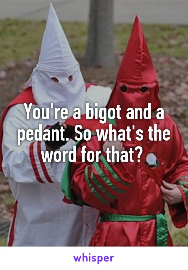 You're a bigot and a pedant. So what's the word for that? 