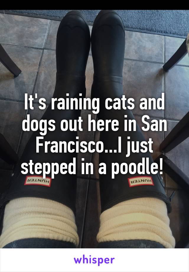 It's raining cats and dogs out here in San Francisco...I just stepped in a poodle! 