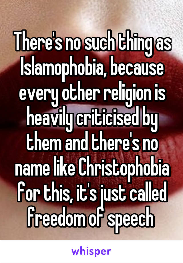 There's no such thing as Islamophobia, because every other religion is heavily criticised by them and there's no name like Christophobia for this, it's just called freedom of speech 