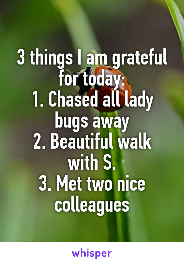 3 things I am grateful for today:
1. Chased all lady bugs away
2. Beautiful walk with S.
3. Met two nice colleagues