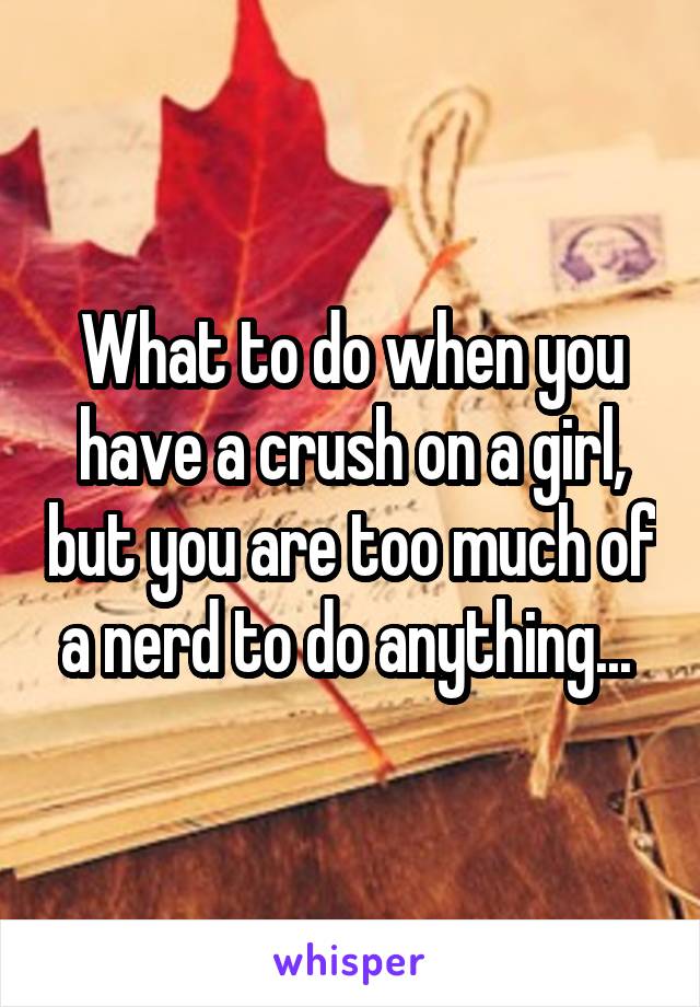 What to do when you have a crush on a girl, but you are too much of a nerd to do anything... 