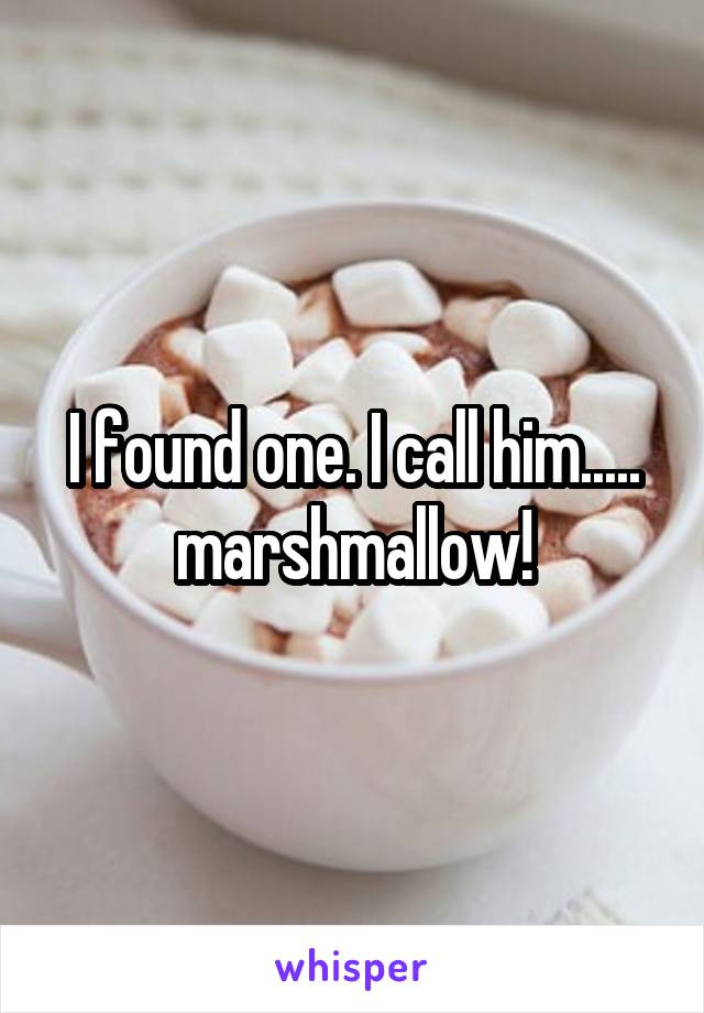 I found one. I call him..... marshmallow!