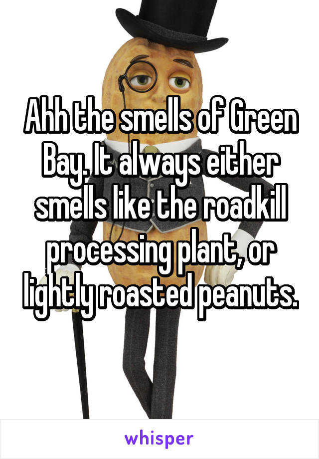 Ahh the smells of Green Bay. It always either smells like the roadkill processing plant, or lightly roasted peanuts. 