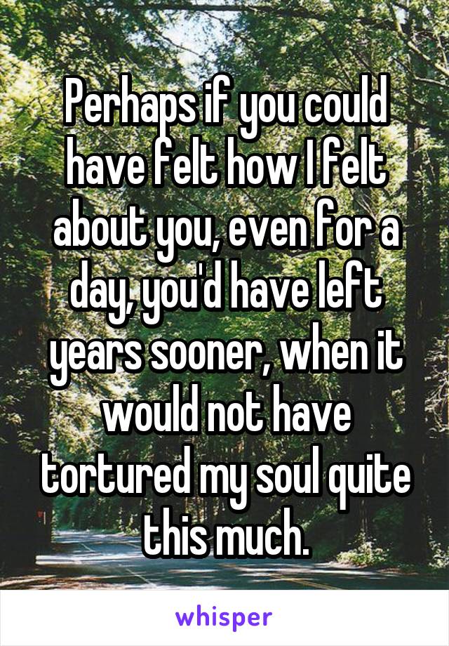 Perhaps if you could have felt how I felt about you, even for a day, you'd have left years sooner, when it would not have tortured my soul quite this much.