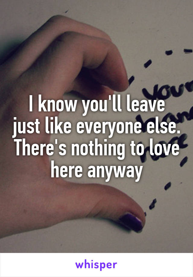 I know you'll leave just like everyone else. There's nothing to love here anyway