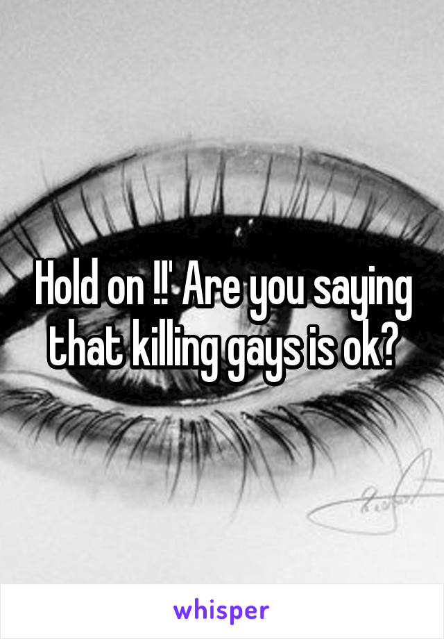 Hold on !!' Are you saying that killing gays is ok?