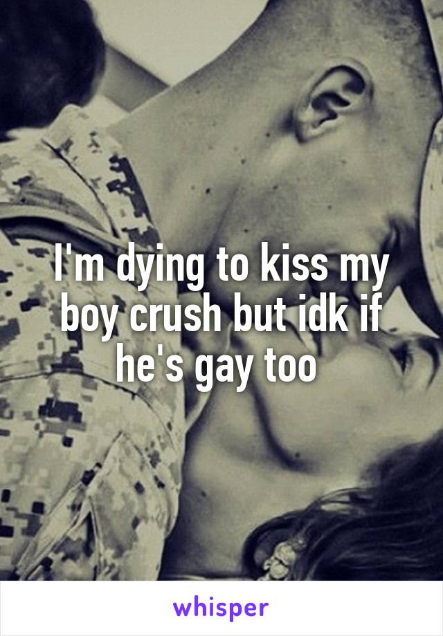 I'm dying to kiss my boy crush but idk if he's gay too 