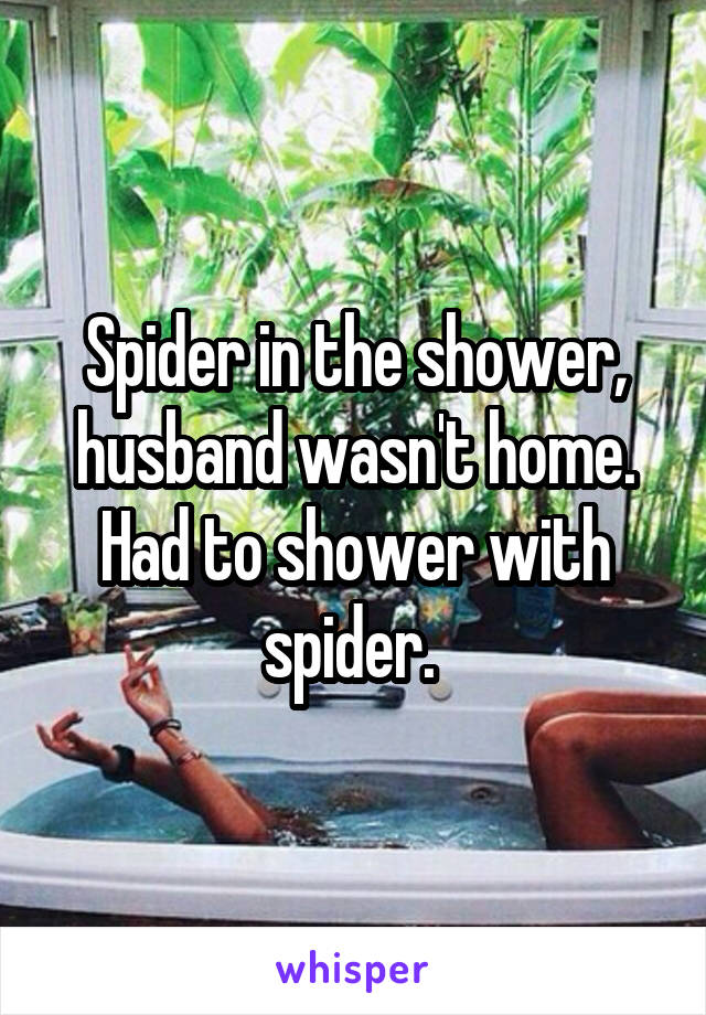 Spider in the shower, husband wasn't home. Had to shower with spider. 