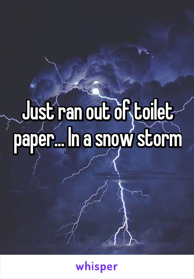 Just ran out of toilet paper... In a snow storm 