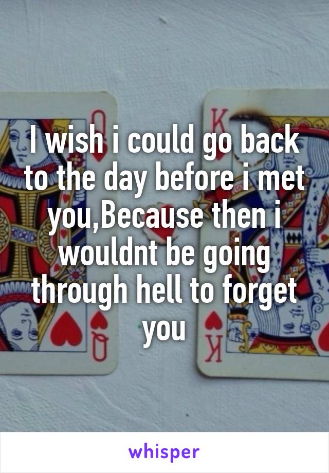 I wish i could go back to the day before i met you,Because then i wouldnt be going through hell to forget you