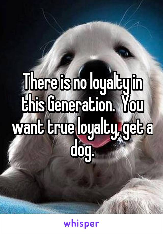 There is no loyalty in this Generation.  You want true loyalty, get a dog.