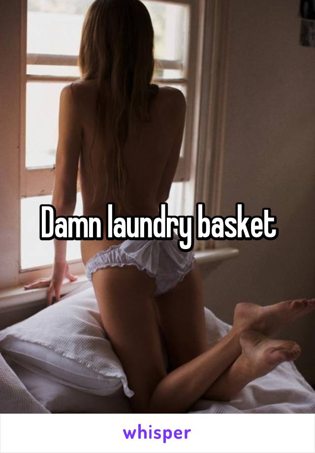 Damn laundry basket