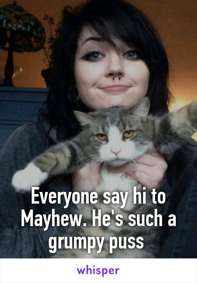 






Everyone say hi to Mayhew. He's such a grumpy puss 