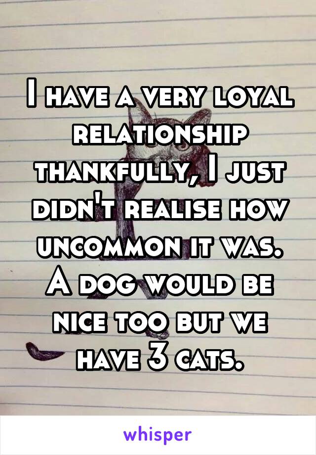 I have a very loyal relationship thankfully, I just didn't realise how uncommon it was. A dog would be nice too but we have 3 cats.