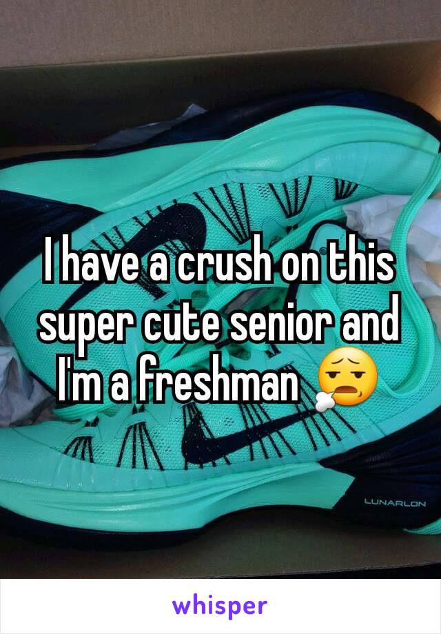 I have a crush on this super cute senior and I'm a freshman 😧