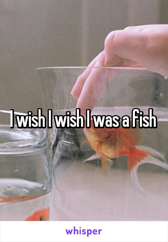 I wish I wish I was a fish 