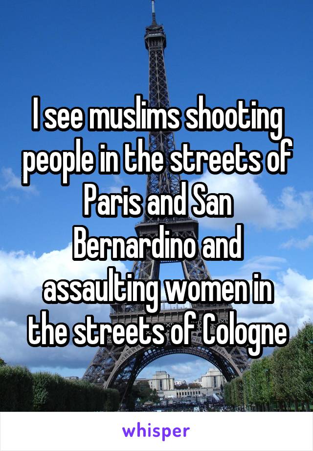 I see muslims shooting people in the streets of Paris and San Bernardino and assaulting women in the streets of Cologne