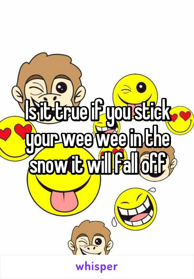 Is it true if you stick your wee wee in the snow it will fall off