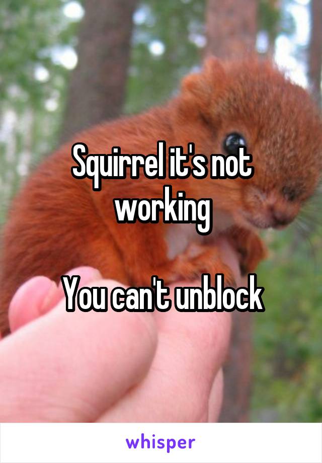 Squirrel it's not working

You can't unblock