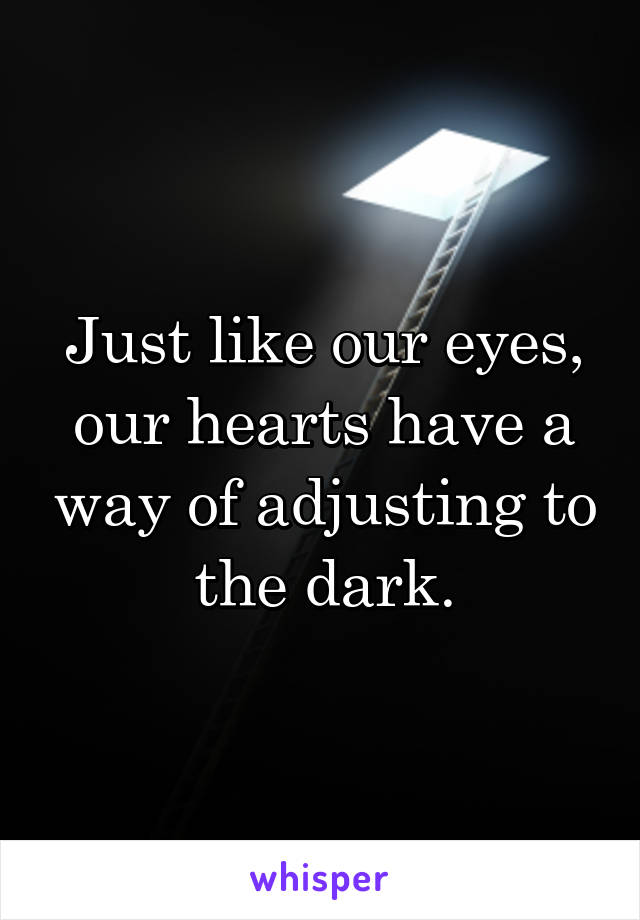 Just like our eyes, our hearts have a way of adjusting to the dark.