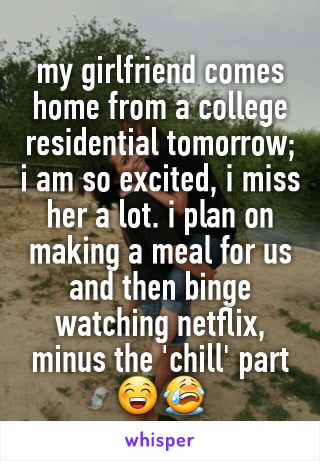 my girlfriend comes home from a college residential tomorrow; i am so excited, i miss her a lot. i plan on making a meal for us and then binge watching netflix, minus the 'chill' part 😁😭