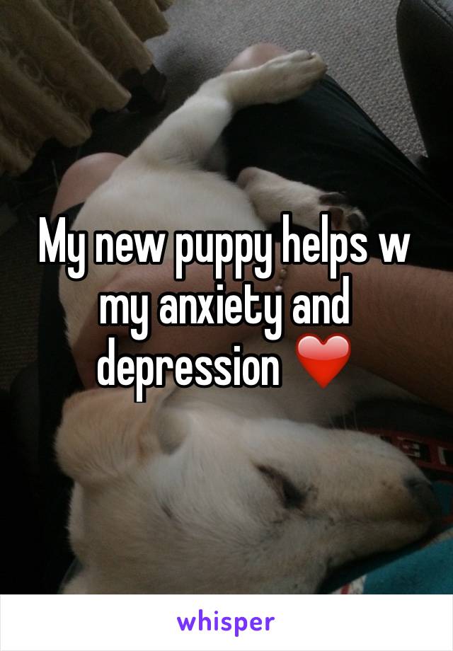 My new puppy helps w my anxiety and depression ❤️