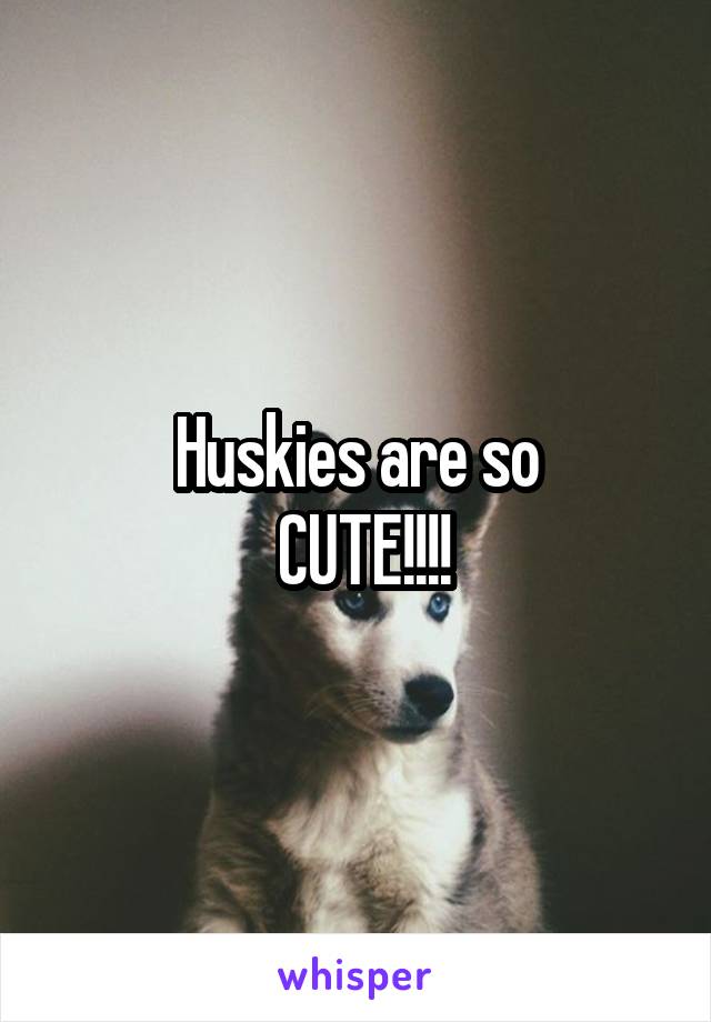 Huskies are so
 CUTE!!!!