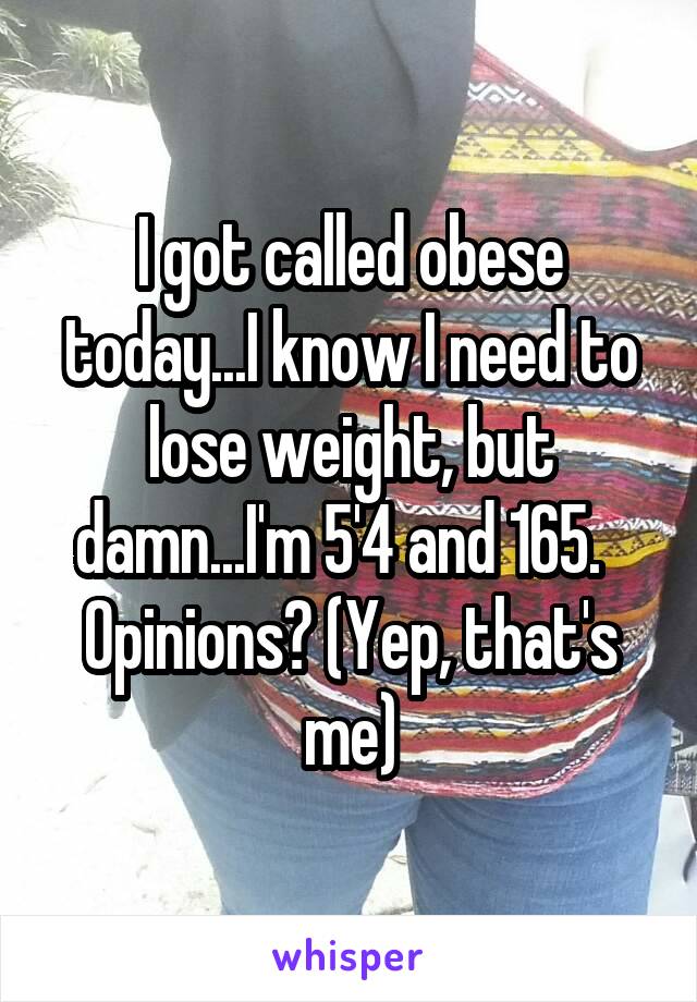 I got called obese today...I know I need to lose weight, but damn...I'm 5'4 and 165.   Opinions? (Yep, that's me)