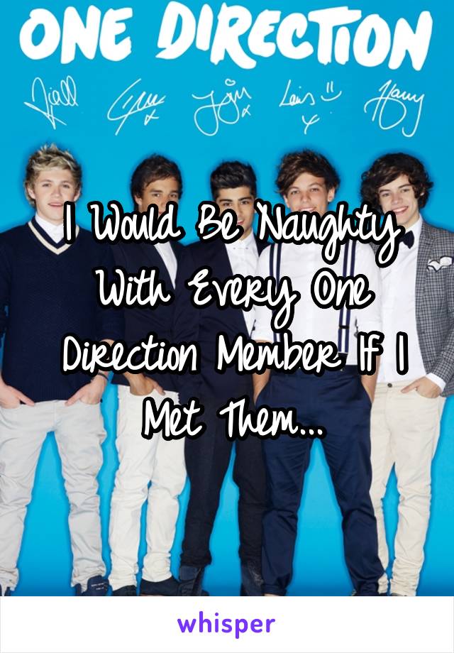 I Would Be Naughty With Every One Direction Member If I Met Them...