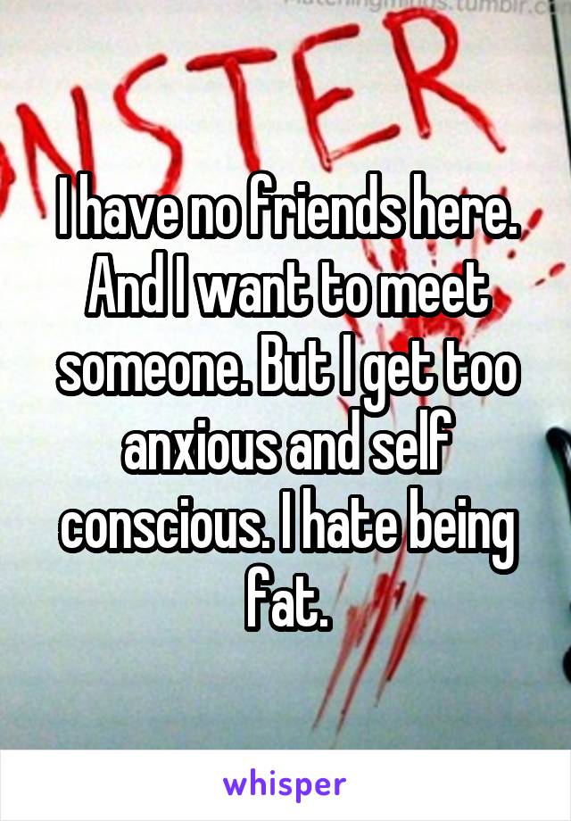 I have no friends here. And I want to meet someone. But I get too anxious and self conscious. I hate being fat.