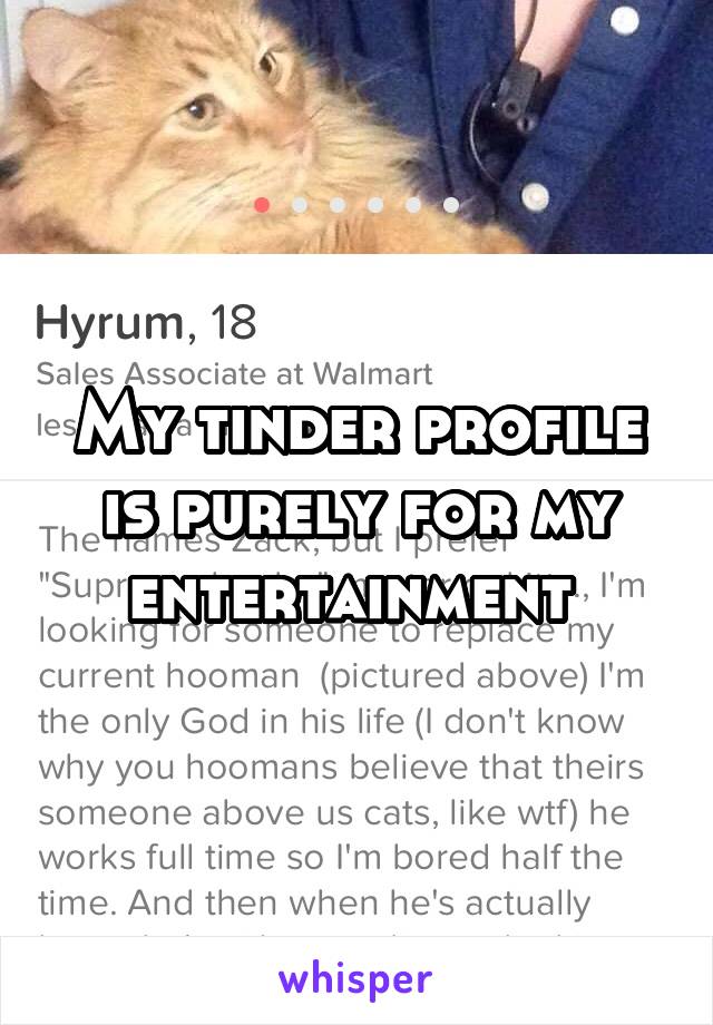 My tinder profile is purely for my entertainment 