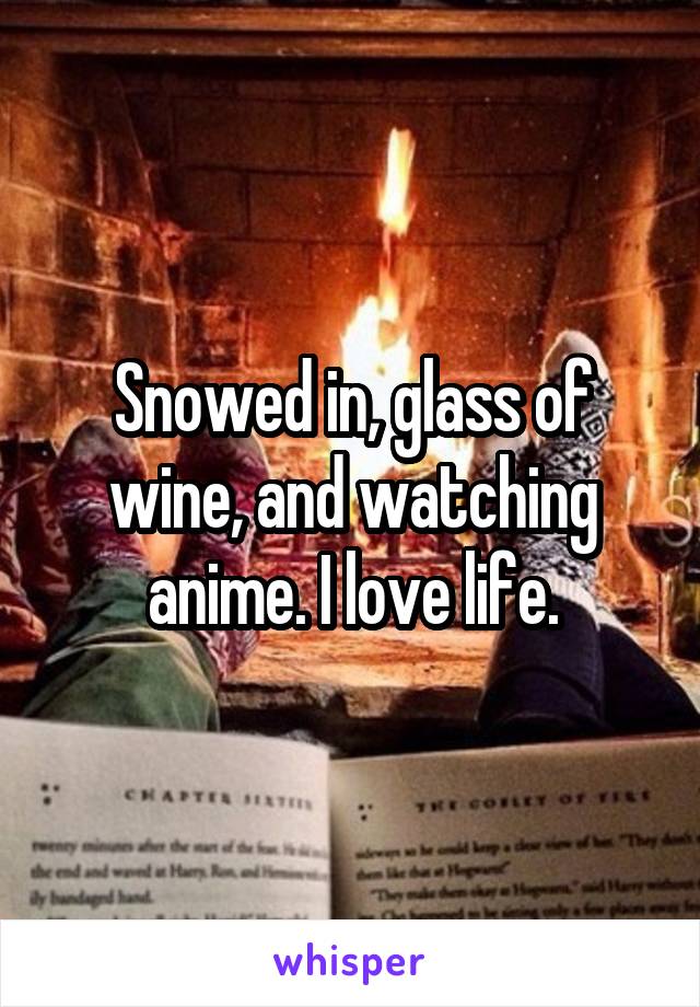 Snowed in, glass of wine, and watching anime. I love life.