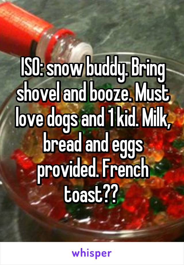 ISO: snow buddy. Bring shovel and booze. Must love dogs and 1 kid. Milk, bread and eggs provided. French toast?? 